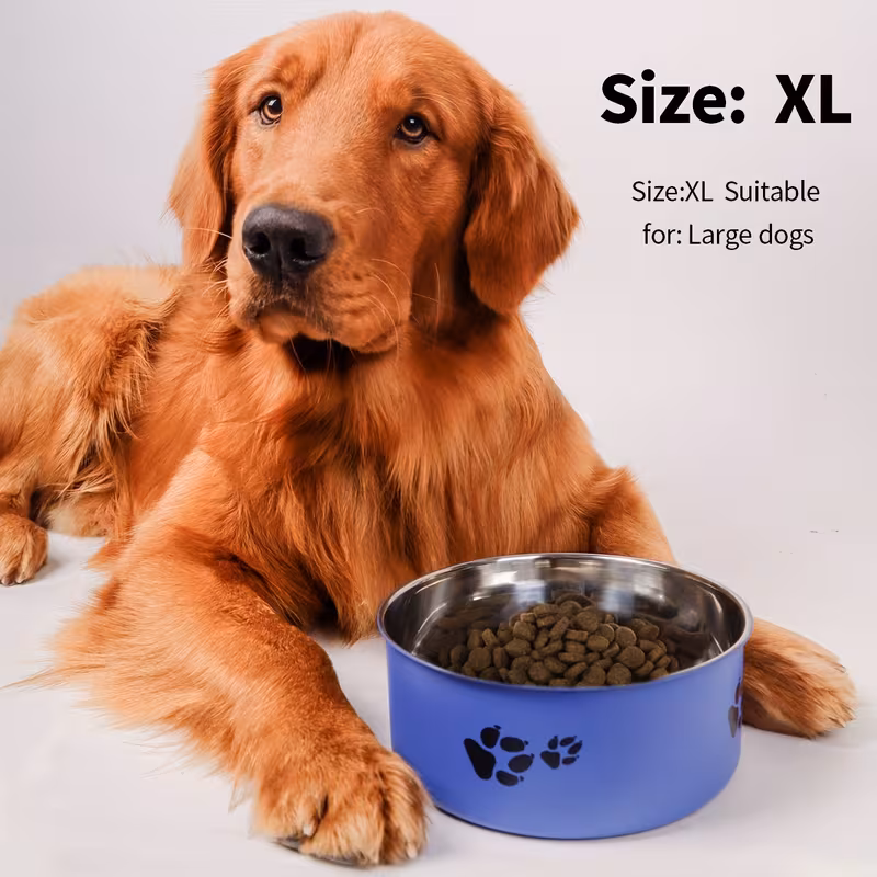 Gamelle en Acier pour Chiens | 18cm – Image 3