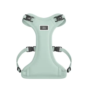 Harnais XS Aqua pour chien