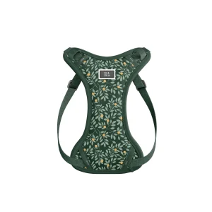 Harnais XXS Nectar pour chien