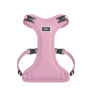 Harnais XS Rose pour chien