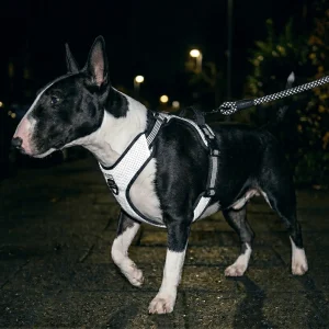 3M Super-Reflective No-Pull Harness