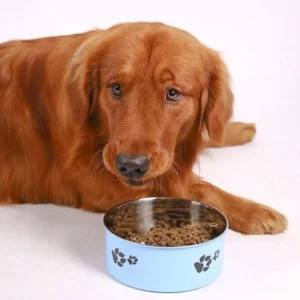 Gamelle en Acier pour Chiens | 18cm