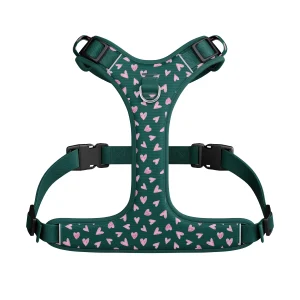 Harnais hybride pour chien Béatrice