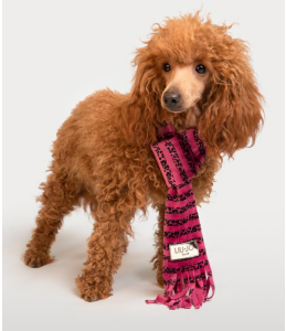 Liu Jo Pets – Echarpe velours