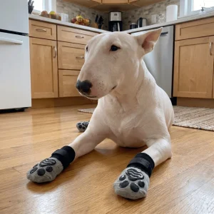 Anti-Skid Black And Gray Socks