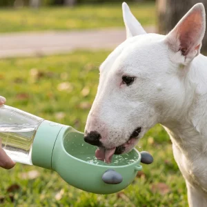 Frosted Dog Water Bottle
