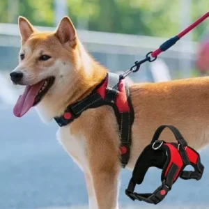 HARNAIS CHIEN - Simplicité et Confort | OttoHarness™