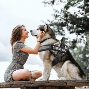 HARNAIS CHIEN PERSONNALISÉ | RockyHarness™