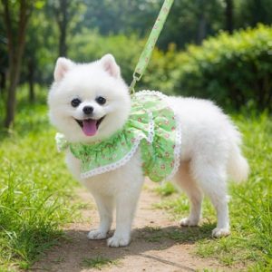 Harnais petit Chien | Léger et Confortable