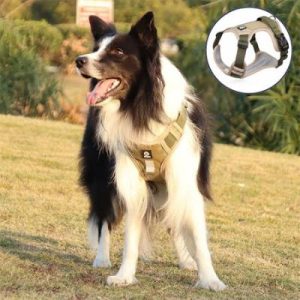 HARNAIS POUR CHIEN | LéoHarness™
