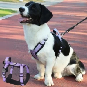 HARNAIS POUR CHIEN - Anti-fugue avec Poignée confortable | PabloHarness™