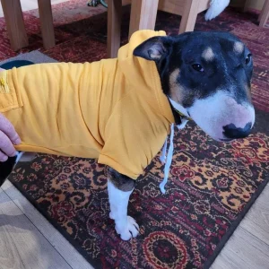 Hoodie With Zipper Pocket
