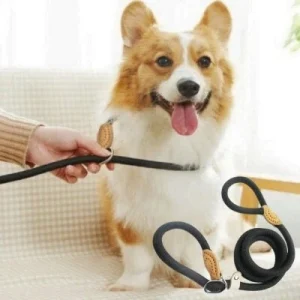 LAISSE CHIEN | LoopyLeash™