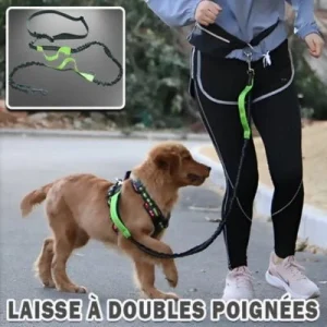 LAISSE MAIN LIBRE CHIEN | PureLiberty™