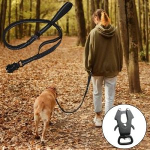 LAISSE POUR CHIEN | TactiLaisse™