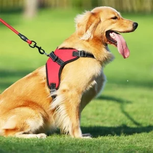 Harnais pour chien | Confort Antitraction