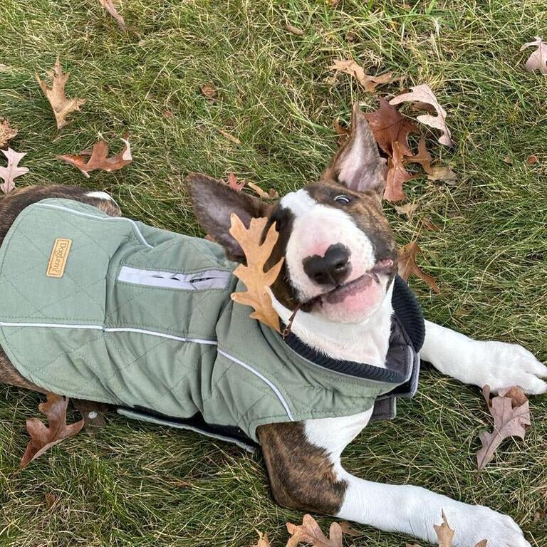 Waterproof Vest With Elastic Collar