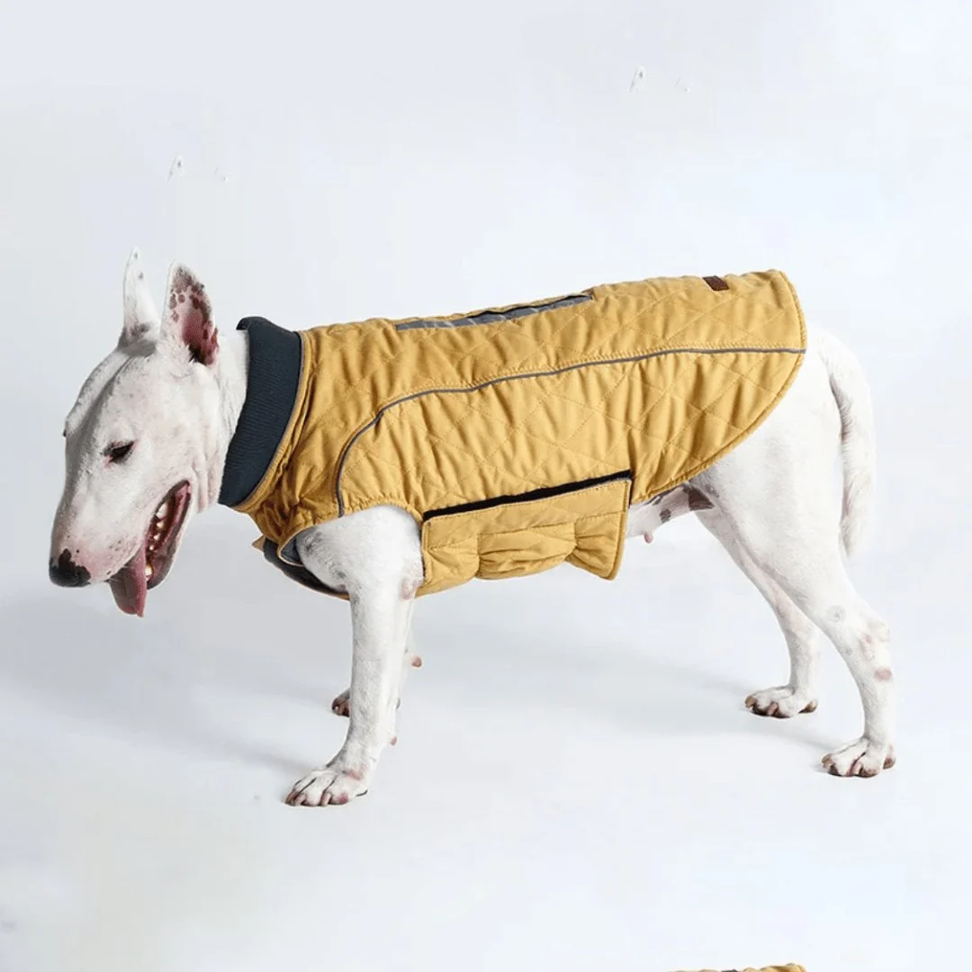Waterproof Vest With Elastic Collar – Image 9